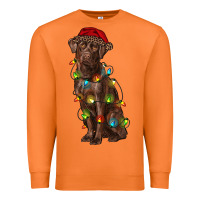Carrot Christmas labrador retriever Premium Sweatshirt - RanaPortraitStore