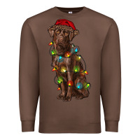 Chestnut Christmas labrador retriever Premium Sweatshirt - RanaPortraitStore
