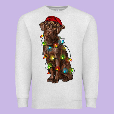 Christmas Labrador Retriever Premium Sweatshirt Designed By Ranaportraitstore