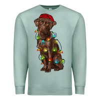 Seafoam Christmas labrador retriever Premium Sweatshirt - RanaPortraitStore
