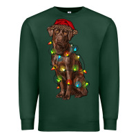 Sports Green Christmas labrador retriever Premium Sweatshirt - RanaPortraitStore