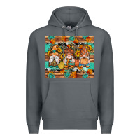 Rock western fall gnomes tumbler Premium Hoodie - Artiststas