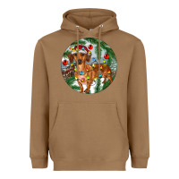 Toasted Coconut Dachshund Christmas Tree Heavyweight Hoodie - RanaPortraitStore