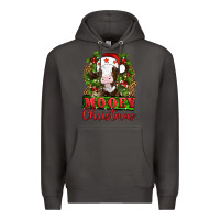 Smoke Mooey christmas Premium Hoodie - Artiststas