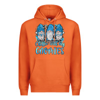 Carrot chillin' with my gnomies Premium Hoodie - JahusDesignShop