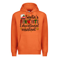 Carrot santa's favorite educational assistant Premium Hoodie - AdoDesignShop