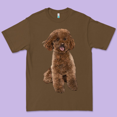Poodles Dog Lllustrations Premium Tee Designed By Lillyallendesigns