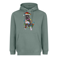 Sage Pitbull With Christmas Lights Heavyweight Hoodie - RanaPortraitStore