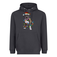 Smoke Pitbull With Christmas Lights Heavyweight Hoodie - RanaPortraitStore