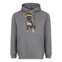 Storm Pitbull With Christmas Lights Heavyweight Hoodie - RanaPortraitStore