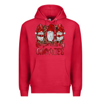 Cardinal hangin' with my gnomies Premium Hoodie - JahusDesignShop