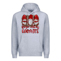 Hangin' With My Gnomies Premium Hoodie | Teevron