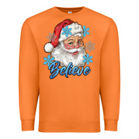 Carrot santa blue believe Premium Sweatshirt - RanaPortraitStore