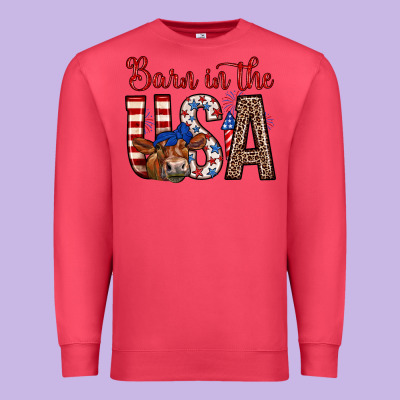 Barn In The Usa Premium Sweatshirt Designed By Zillion Design Studio