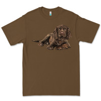 Cacao Sussex Spaniels llustrations Premium Tee - LillyAllenDesigns