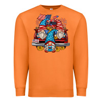 Carrot 4th of july gnomes farm truck Premium Sweatshirt - Zillion Design Studio