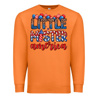 Carrot little mister America Premium Sweatshirt - Zillion Design Studio