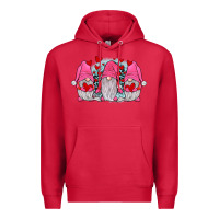 Cardinal gnomies valentines day Premium Hoodie - JahusDesignShop