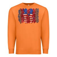 Carrot 4th of july brushstroke Premium Sweatshirt - Zillion Design Studio