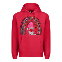 Cardinal valentines gnomies rainbow Premium Hoodie - JahusDesignShop