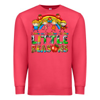 Cardinal i love my job for all the little reasons Premium Sweatshirt - texasbilliewilder