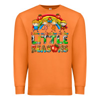 Carrot i love my job for all the little reasons Premium Sweatshirt - texasbilliewilder