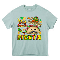 Arona Just Here To Fiesta Heavy Core Tee - CowhideDigitalArt