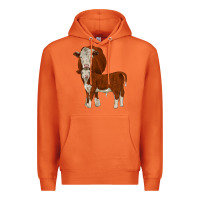 Carrot hareford Premium Hoodie - JahusDesignShop