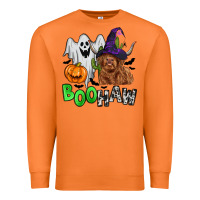 Carrot boohaw Premium Sweatshirt - Zillion Design Studio