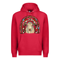 Cardinal valentines charolais  rainbow Premium Hoodie - JahusDesignShop