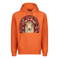 Carrot valentines charolais  rainbow Premium Hoodie - JahusDesignShop