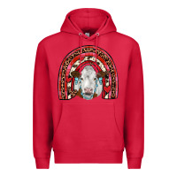Cardinal valentines simmental  rainbow Premium Hoodie - JahusDesignShop