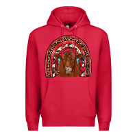 Cardinal valentines red angus rainbow Premium Hoodie - JahusDesignShop