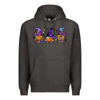 Smoke witch gnomes Halloween Premium Hoodie - BundleAndBundleShop