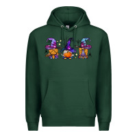 Sports Green witch gnomes Halloween Premium Hoodie - BundleAndBundleShop