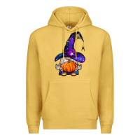 Antique Gold witch gnome with pumpkin Premium Hoodie - BundleAndBundleShop