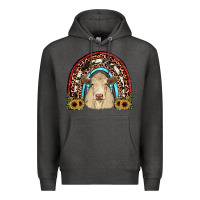 Charcoal Heather charolais  rainbow Premium Hoodie - JahusDesignShop