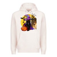 Pale Pink black witch cat coffin and moon Premium Hoodie - BundleAndBundleShop