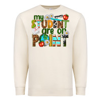 Sandshell my student are on point Premium Sweatshirt - texasbilliewilder