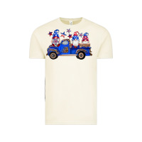 Vintage Arctic american flag gnomes truck Vintage Tee - Artiststas
