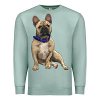 Seafoam french bulldog with royal blue Premium Sweatshirt - RanaPortraitStore