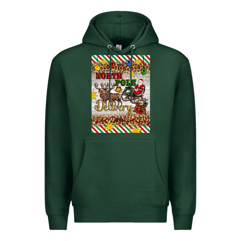Christmas North Pole Delivery Premium Hoodie by Artiststas | Teevron