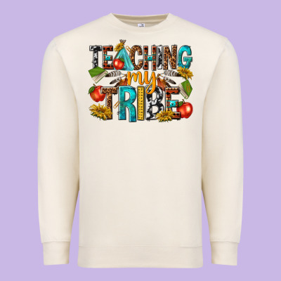 Premium Sweatshirt teaching my