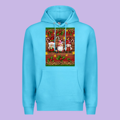 Christmas Gnomes Premium Hoodie Designed By Artiststas