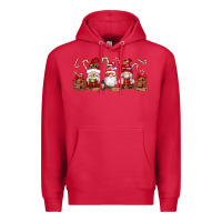 Cardinal Christmas Gnomes Premium Hoodie - Artiststas