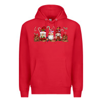 Red Christmas Gnomes Premium Hoodie - Artiststas
