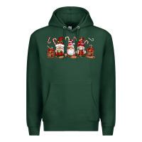 Sports Green Christmas Gnomes Premium Hoodie - Artiststas