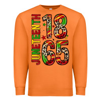 Carrot 1865 juneteenth Premium Sweatshirt - Zillion Design Studio