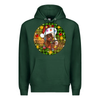 Sports Green Christmas horse Premium Hoodie - Artiststas