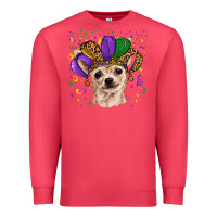 Cardinal mardi gras hat chihuahua Premium Sweatshirt - RanaPortraitStore
